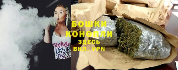дживик Новозыбков