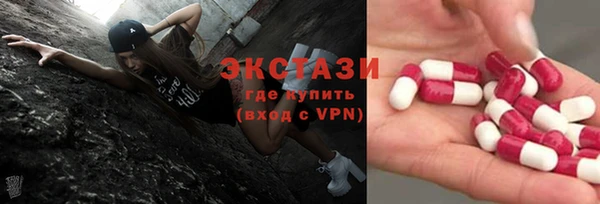СК Новодвинск