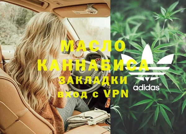 дживик Новозыбков
