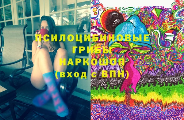 дживик Новозыбков