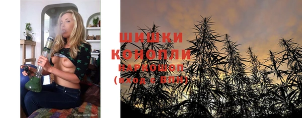 СК Новодвинск
