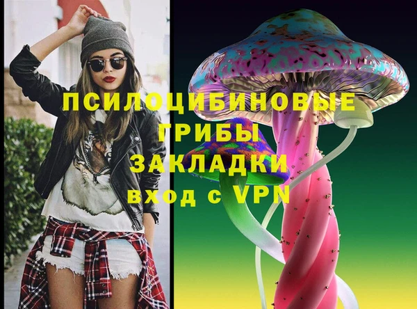 СК Новодвинск