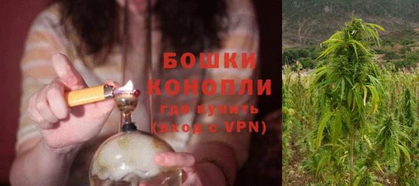 дмт Лагань