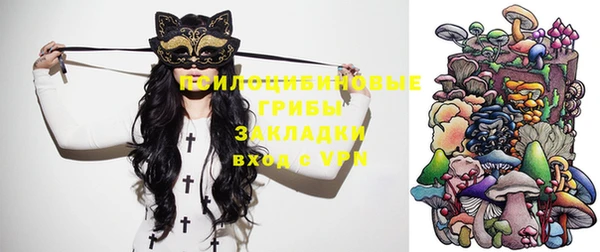 дживик Новозыбков