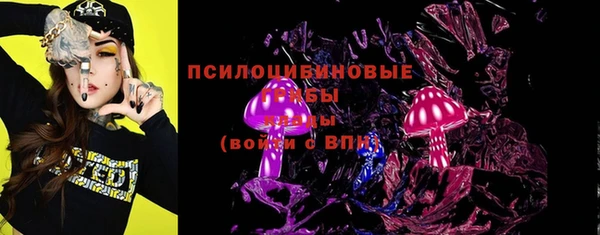 дживик Новозыбков