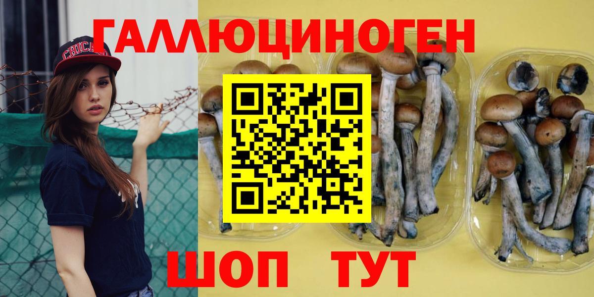 Псилоцибиновые грибы MAGIC MUSHROOMS Красноармейск